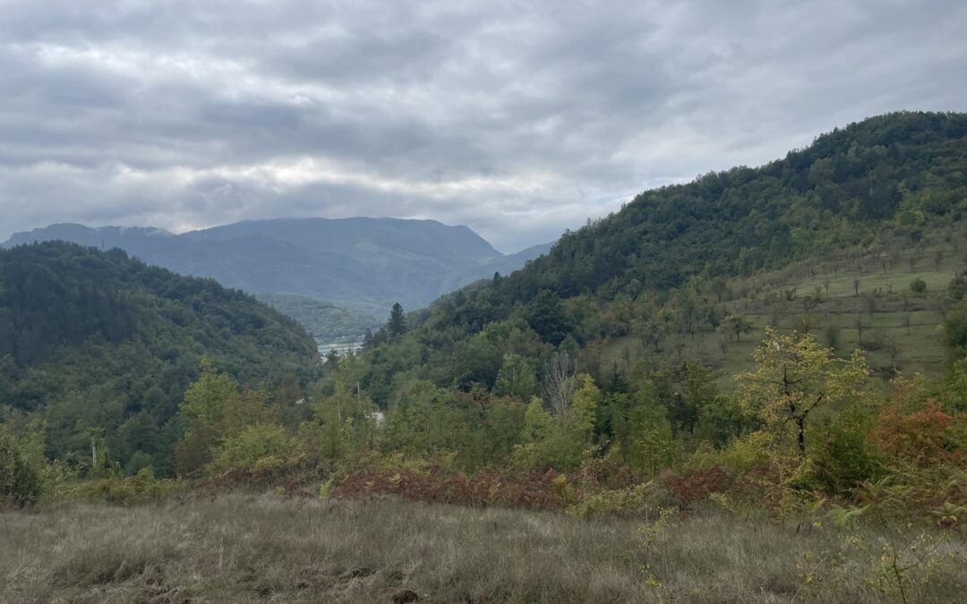 Zemljište | 2.587m2 | Jablanica